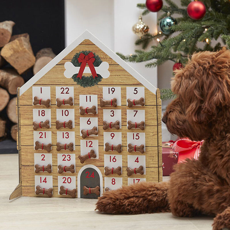 Adventskalender fuer den Hund