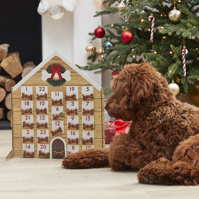 DIY Adventskalender fuer den Hund