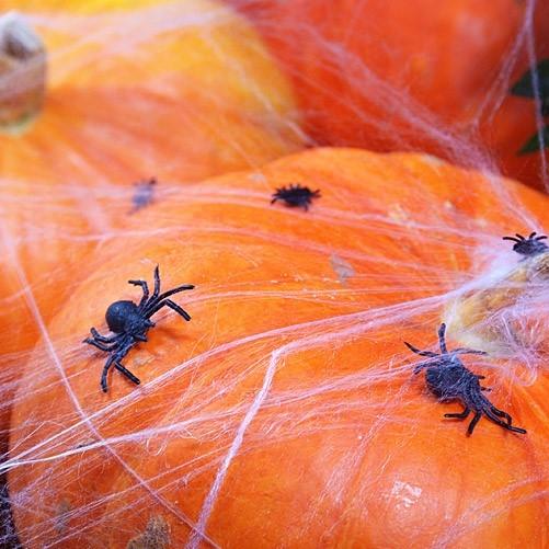 Tischdeko Spinnen schwarz für Halloween