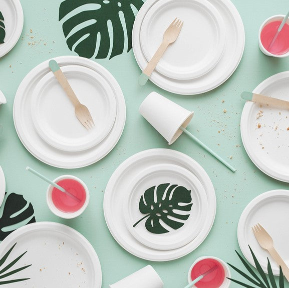 Teller aus Zuckerrohr weiß 22,5 cm