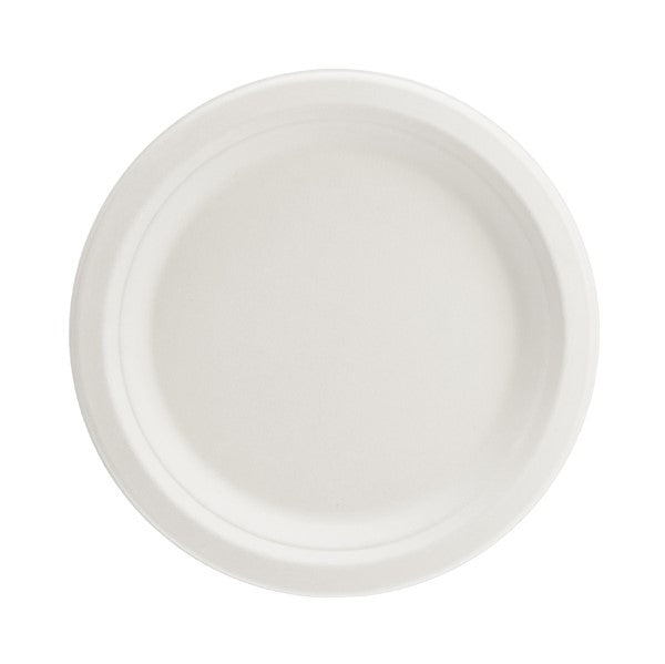 Teller aus Zuckerrohr weiß 22,5 cm