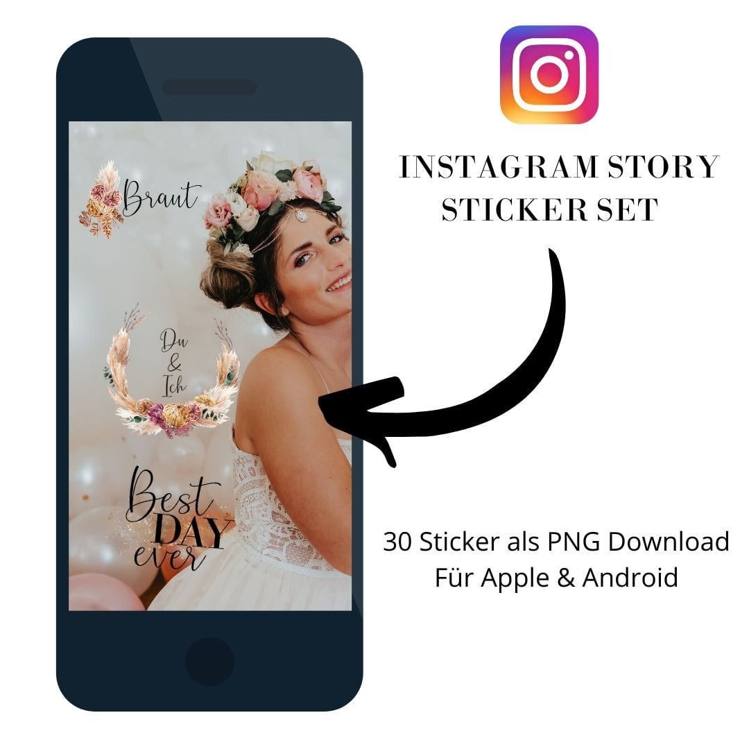 Instagram Story Sticker Set Pampas Gras Info