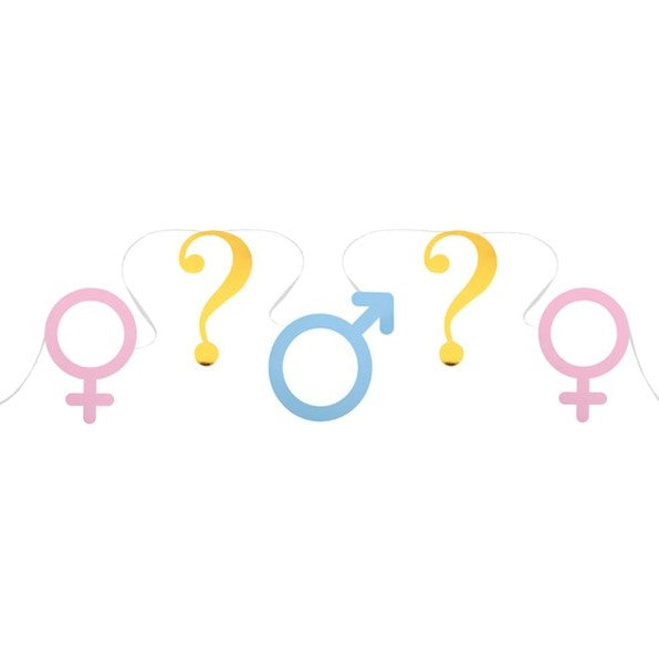 Gender Reveal Girlande