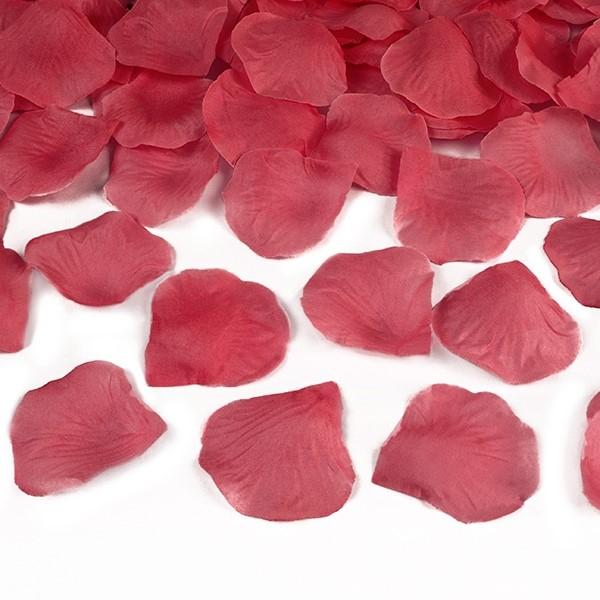 Konfetti Kanone mit roten Rosenblätter